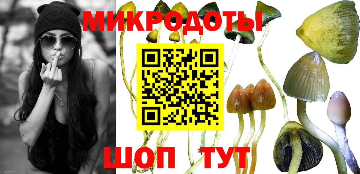 Alpha PVP Павловский Посад