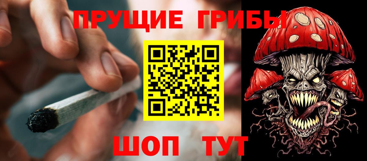 Галлюциногенные грибы прущие грибы Павловский Посад
